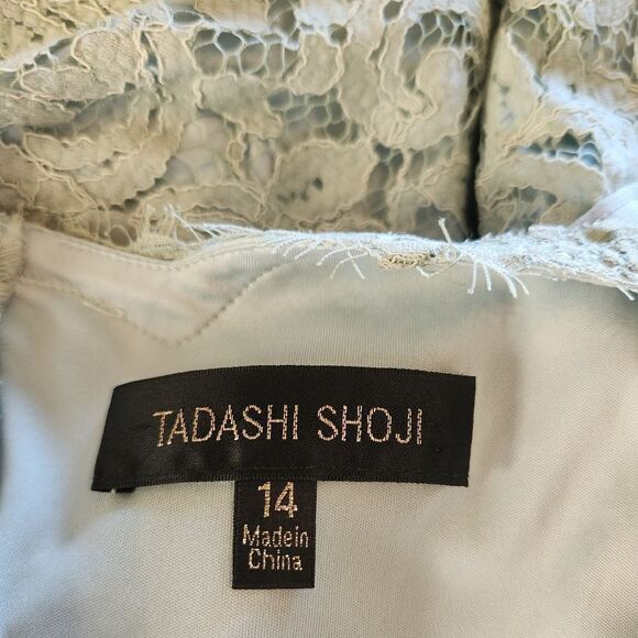 Tadashi Shoji Lace Dress with Pintuck Jersey Waist Size 14 - Picture 5 of 6